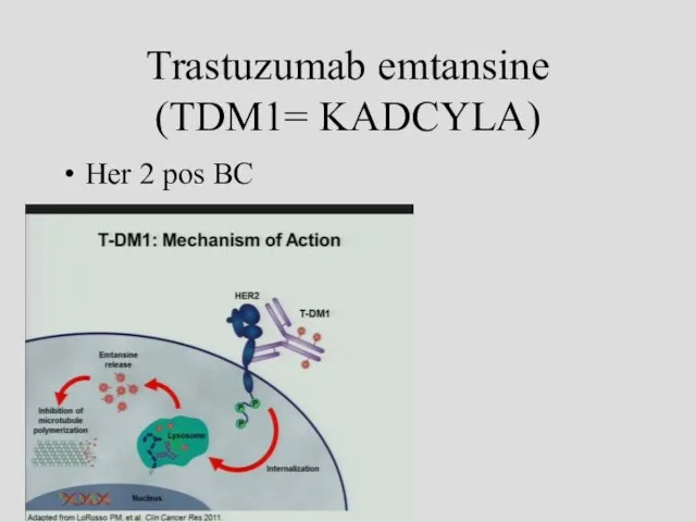 Trastuzumab emtansine (TDM1= KADCYLA) Her 2 pos BC Trastuzumab emtansine