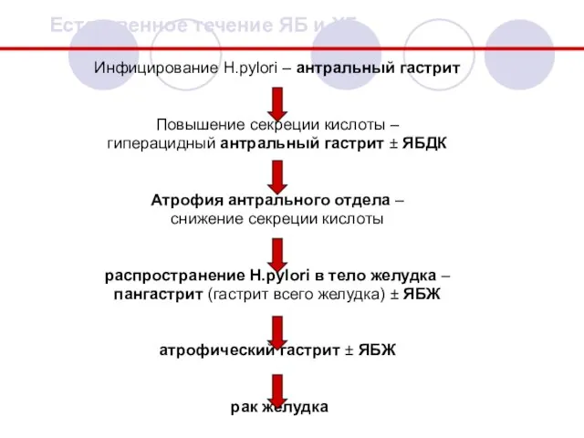 Инфицирование Н.pylori – антральный гастрит Повышение секреции кислоты – гиперацидный антральный