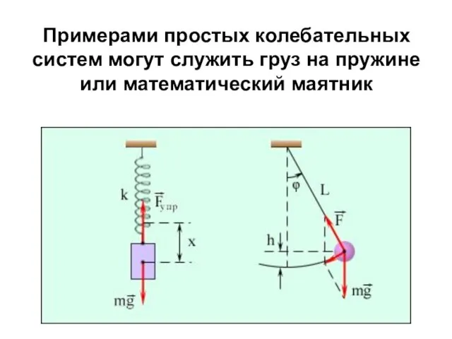 Примерами простых колебательных систем могут служить груз на пружине или математический маятник