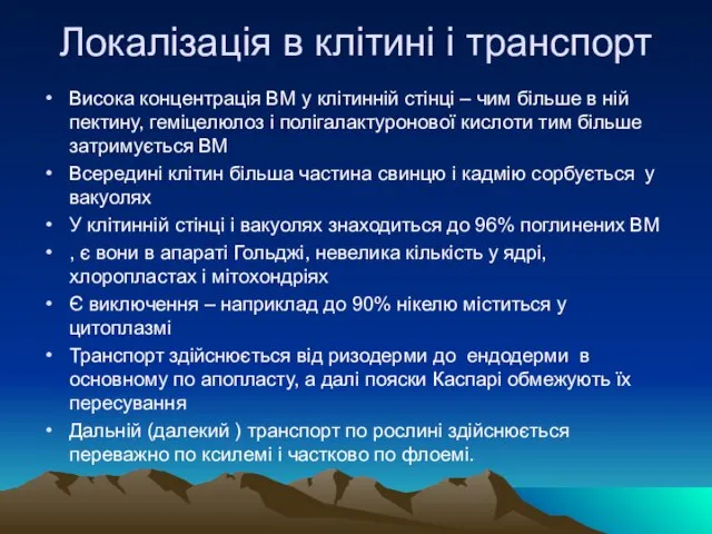 Локалізація в клітині і транспорт Висока концентрація ВМ у клітинній стінці