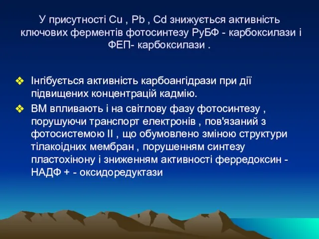 У присутності Сu , Pb , Cd знижується активність ключових ферментів