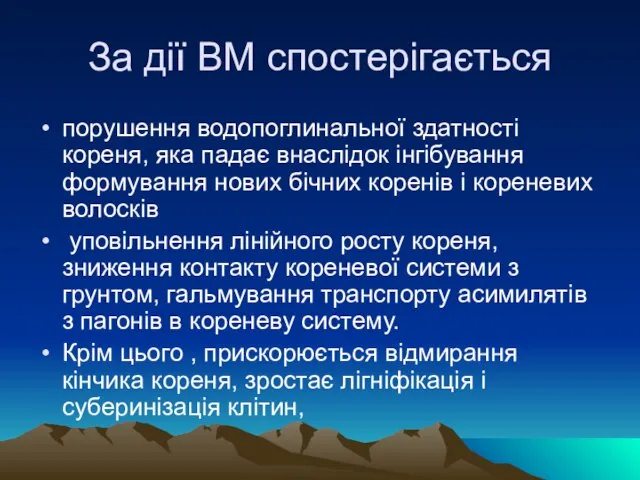 За дії ВМ спостерігається порушення водопоглинальної здатності кореня, яка падає внаслідок