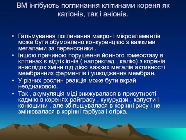 ВМ інгібують поглинання клітинами кореня як катіонів, так і аніонів. Гальмування