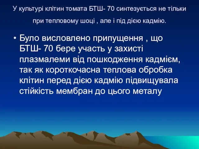 У культурі клітин томата БТШ- 70 синтезується не тільки при тепловому