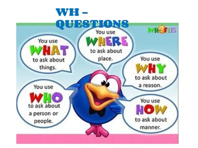 WH - QUESTIONS