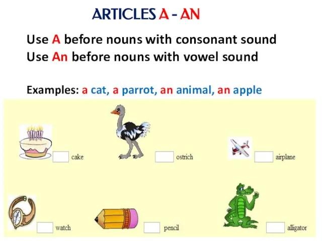 Use A before nouns with consonant sound Use An before nouns
