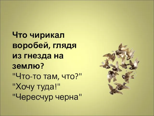 Что чирикал воробей, глядя из гнезда на землю? "Что-то там, что?" "Хочу туда!" "Чересчур черна"