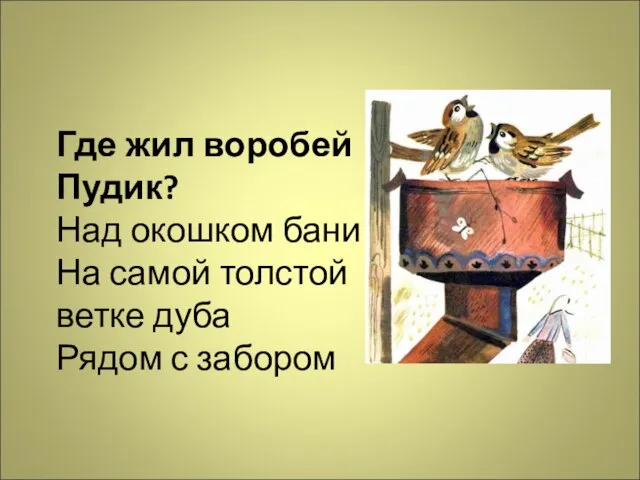 Где жил воробей Пудик? Над окошком бани На самой толстой ветке дуба Рядом с забором