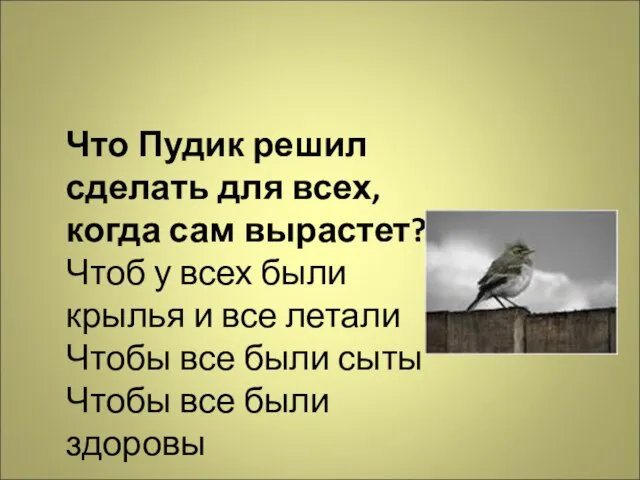 Что Пудик решил сделать для всех, когда сам вырастет? Чтоб у