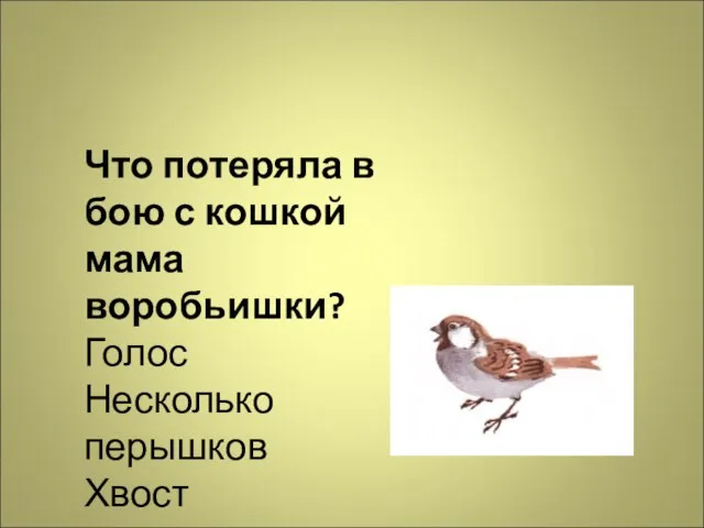 Что потеряла в бою с кошкой мама воробьишки? Голос Несколько перышков Хвост