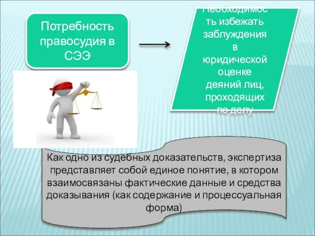 Потребность правосудия в СЭЭ Необходимость избежать заблуждения в юридической оценке деяний