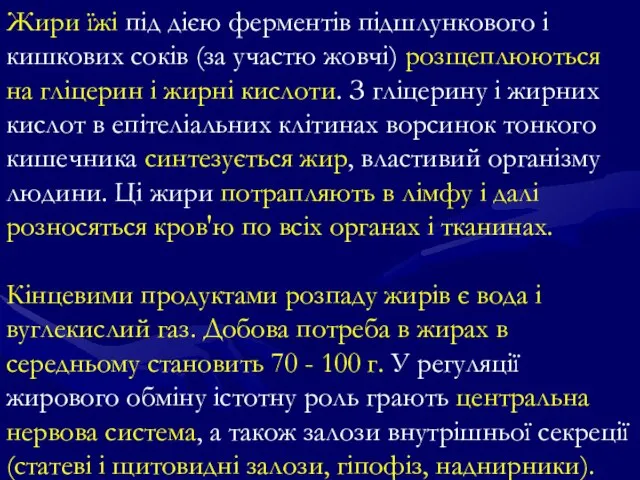 Жири їжі під дією ферментів підшлункового і кишкових соків (за участю