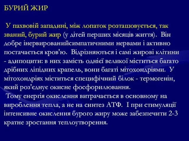 БУРИЙ ЖИР У пахвовій западині, між лопаток розташовується, так званий, бурий