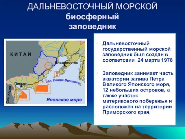 ДАЛЬНЕВОСТОЧНЫЙ МОРСКОЙ биосферный заповедник Дальневосточный государственный морской заповедник был создан в