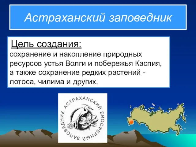 Астраханский заповедник Цель создания: сохранение и накопление природных ресурсов устья Волги