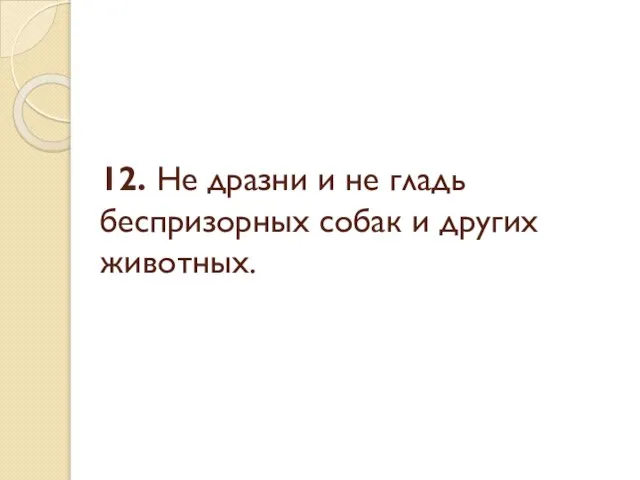 12. Не дразни и не гладь беспризорных собак и других животных.