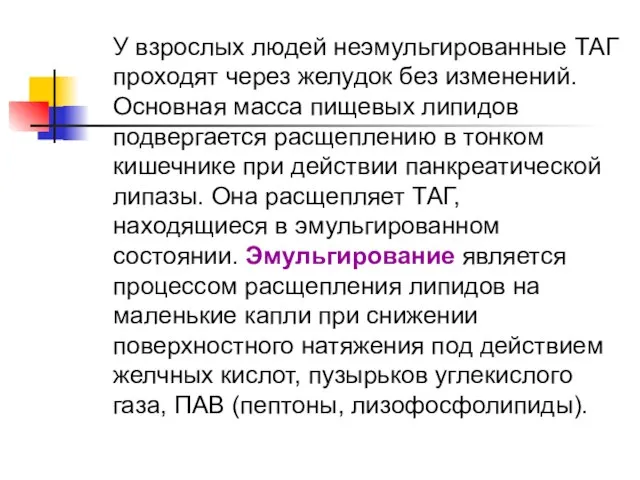 У взрослых людей неэмульгированные ТАГ проходят через желудок без изменений. Основная