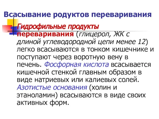 Всасывание родуктов переваривания Гидрофильные продукты переваривания (глицерол, ЖК с длиной углеводородной