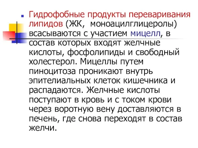 Гидрофобные продукты переваривания липидов (ЖК, моноацилглицеролы) всасываются с участием мицелл, в