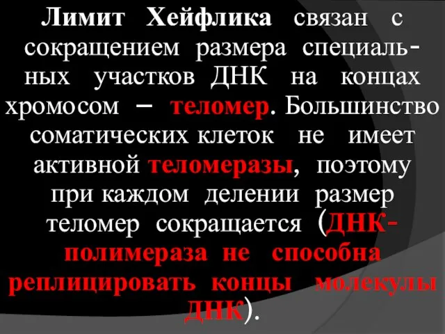 Лимит Хейфлика связан с сокращением размера специаль-ных участков ДНК на концах