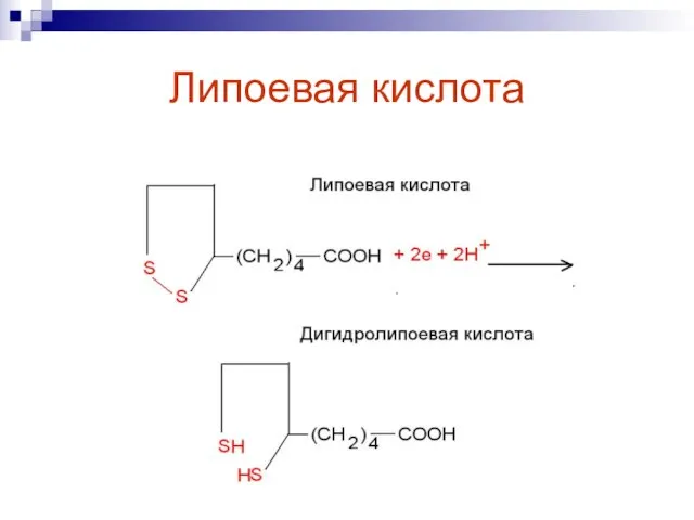 Липоевая кислота