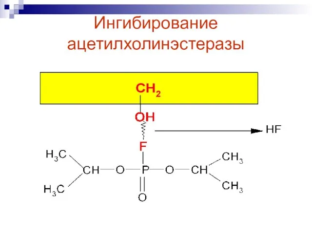 Ингибирование ацетилхолинэстеразы