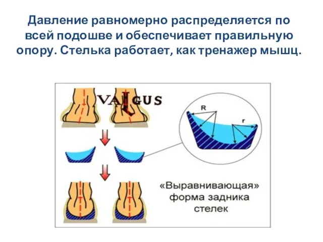 Давление равномерно распределяется по всей подошве и обеспечивает правильную опору. Стелька работает, как тренажер мышц.