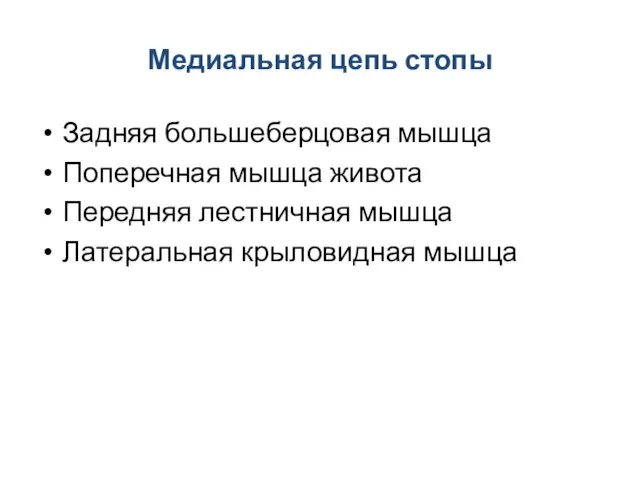 Медиальная цепь стопы Задняя большеберцовая мышца Поперечная мышца живота Передняя лестничная мышца Латеральная крыловидная мышца