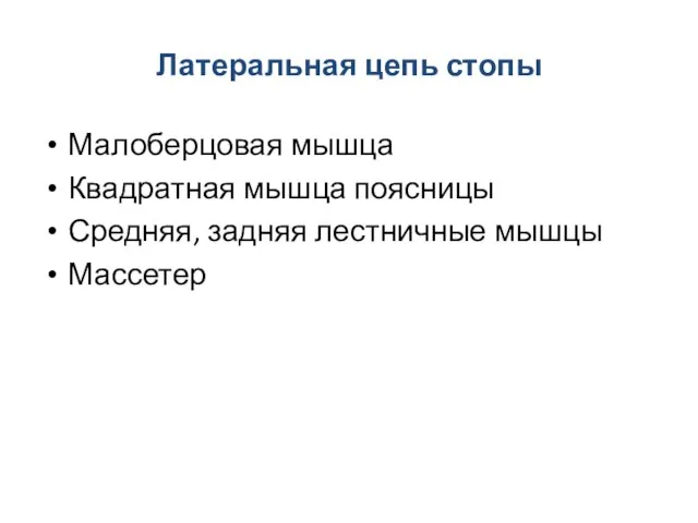 Латеральная цепь стопы Малоберцовая мышца Квадратная мышца поясницы Средняя, задняя лестничные мышцы Массетер