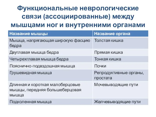 Функциональные неврологические связи (ассоциированные) между мышцами ног и внутренними органами