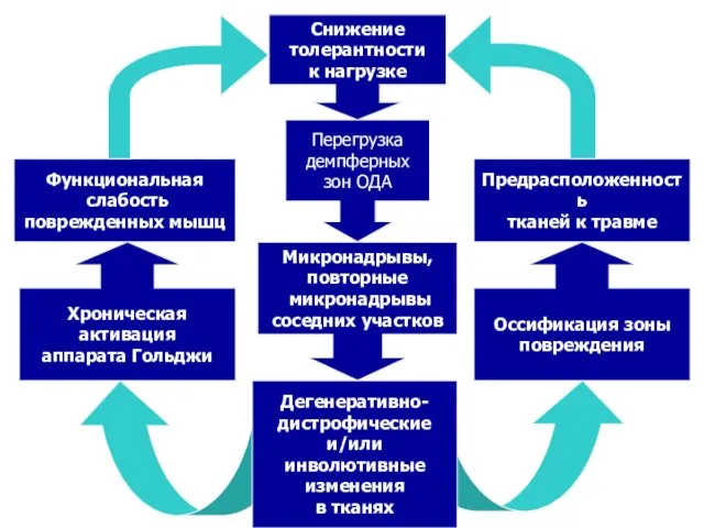 Функциональная слабость поврежденных мышц Предрасположенность тканей к травме Дегенеративно- дистрофические и/или