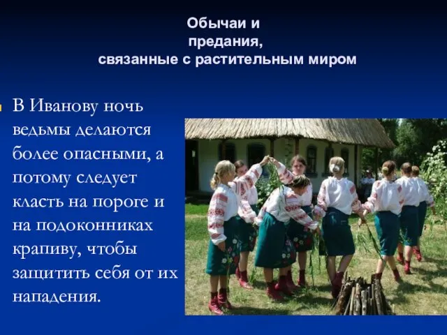 Обычаи и предания, связанные с растительным миром В Иванову ночь ведьмы