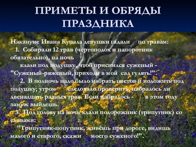 ПРИМЕТЫ И ОБРЯДЫ ПРАЗДНИКА Накануне Ивана Купала девушки гадали по травам: