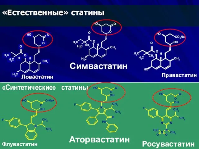 Ловастатин Симвастатин Правастатин Аторвастатин Флувастатин Росувастатин «Естественные» статины «Синтетические» статины