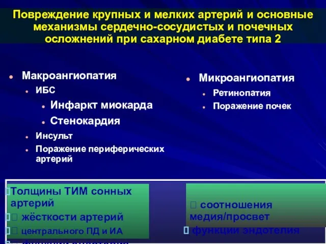 ? соотношения медия/просвет функции эндотелия Толщины ТИМ сонных артерий ? жёсткости