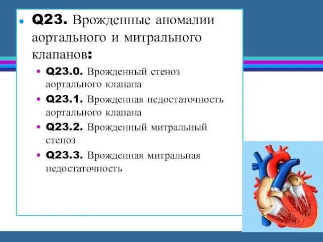 Q23. Врожденные аномалии аортального и митрального клапанов: Q23.0. Врожденный стеноз аортального