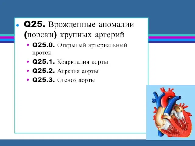 Q25. Врожденные аномалии (пороки) крупных артерий Q25.0. Открытый артериальный проток Q25.1.