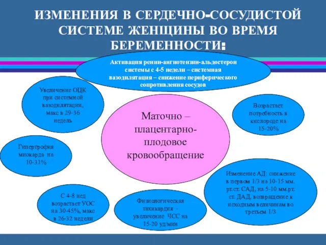 ИЗМЕНЕНИЯ В СЕРДЕЧНО-СОСУДИСТОЙ СИСТЕМЕ ЖЕНЩИНЫ ВО ВРЕМЯ БЕРЕМЕННОСТИ: Активация ренин-ангиотензин-альдостерон системы