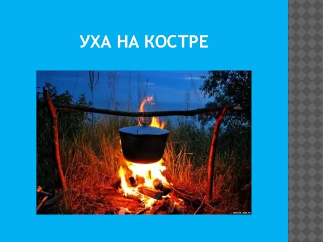 УХА НА КОСТРЕ