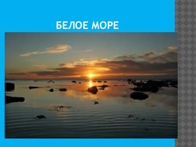 БЕЛОЕ МОРЕ