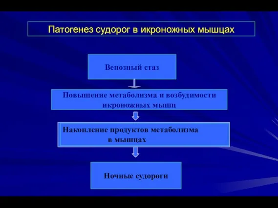 Патогенез судорог в икроножных мышцах Венозный стаз Повышение метаболизма и возбудимости