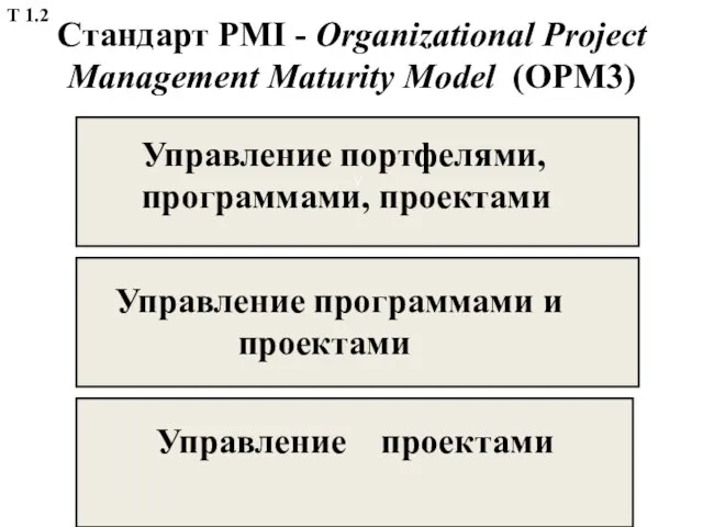 Стандарт PMI - Organizational Project Management Maturity Model (OРМ3) У Управление