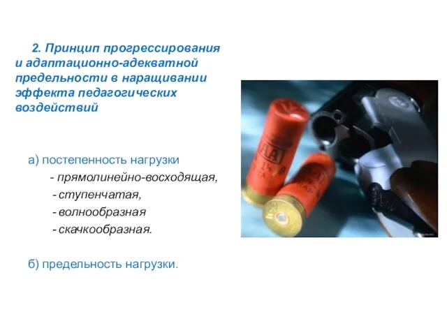 2. Принцип прогрессирования и адаптационно-адекватной предельности в наращивании эффекта педагогических воздействий