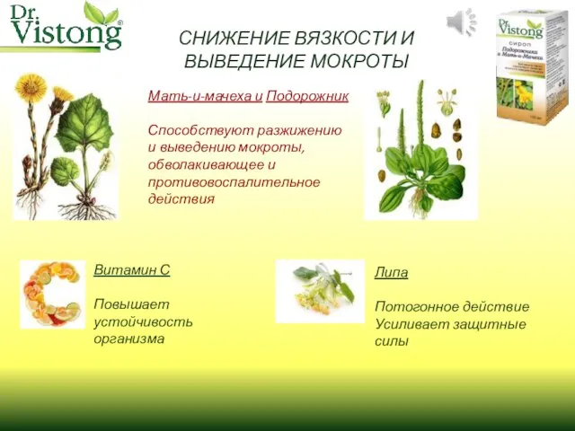 СНИЖЕНИЕ ВЯЗКОСТИ И ВЫВЕДЕНИЕ МОКРОТЫ Мать-и-мачеха и Подорожник Способствуют разжижению и