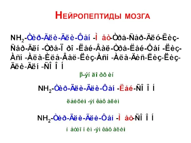 Нейропептиды мозга