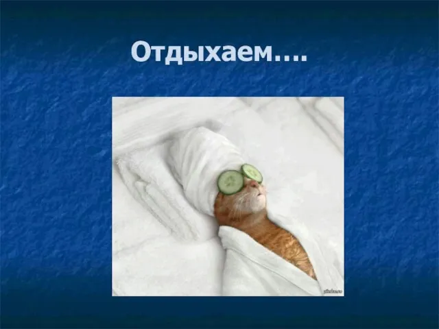 Отдыхаем….