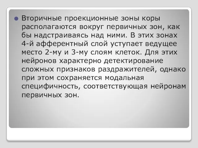 Вторичные проекционные зоны коры располагаются вокруг первичных зон, как бы надстраиваясь