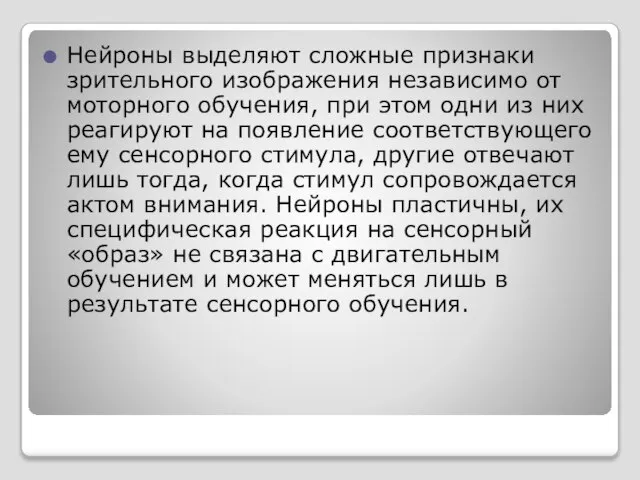 Нейроны выделяют сложные признаки зрительного изображения независимо от моторного обучения, при