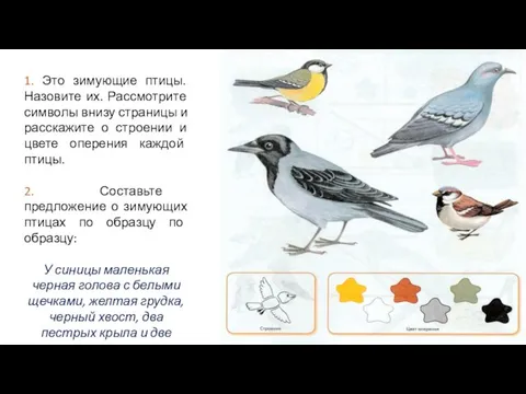 1. Это зимующие птицы. Назовите их. Рассмотрите символы внизу страницы и