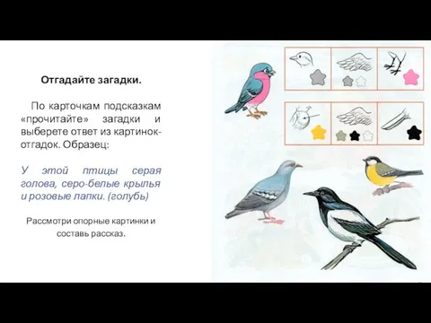 Отгадайте загадки. По карточкам подсказкам «прочитайте» загадки и выберете ответ из